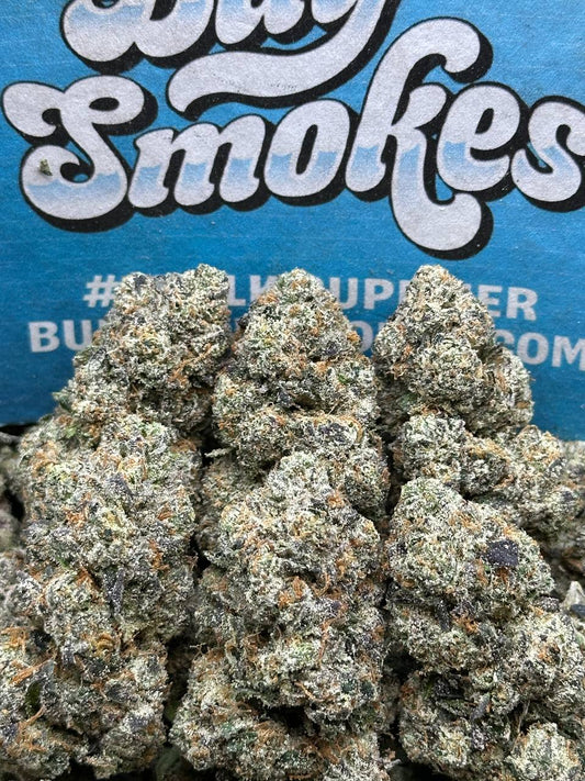 Gelatti (Indica)