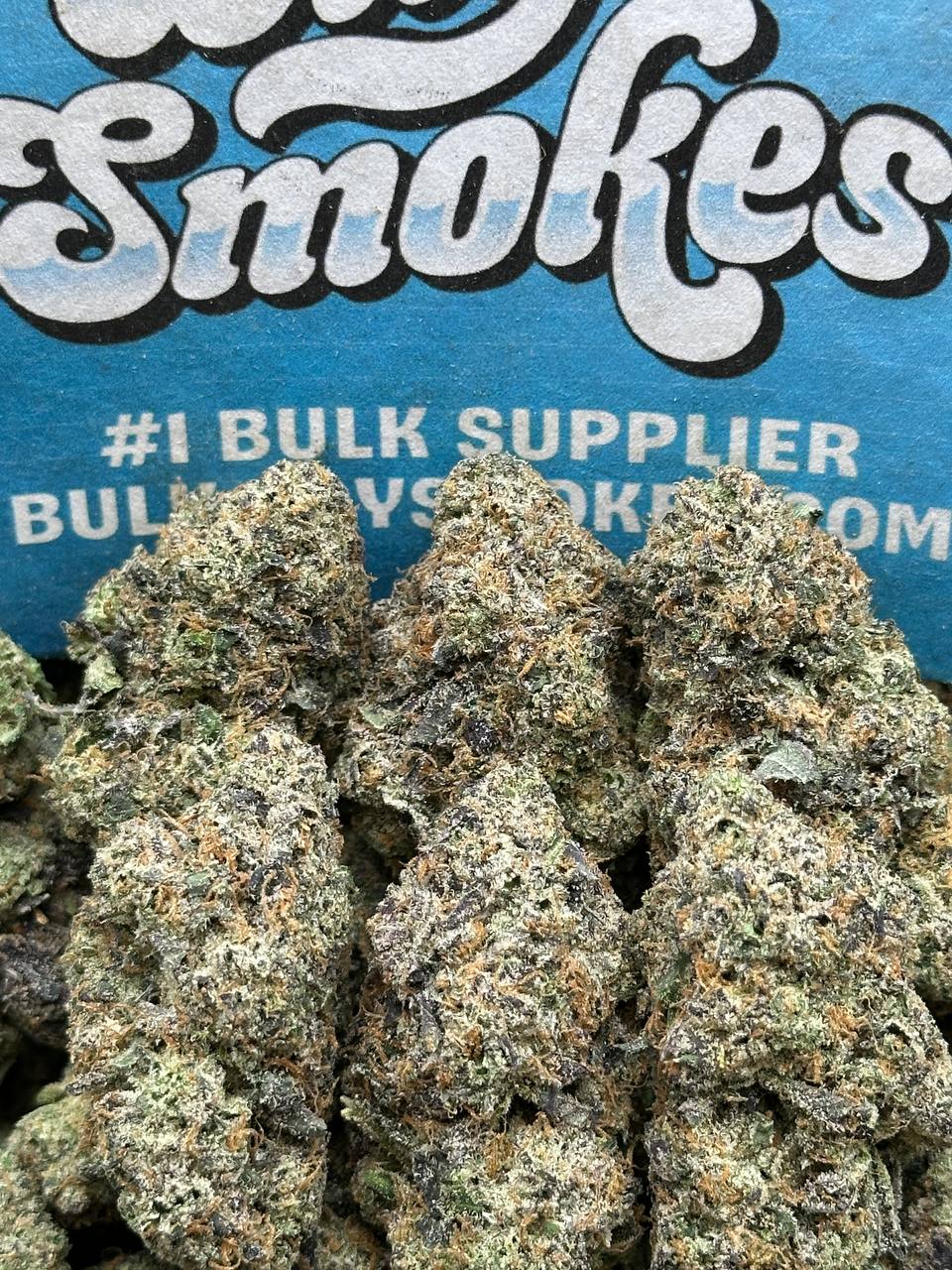 Lemon Runtz (Indica Hybrid)