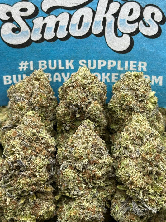 Koolato(Hybrid)