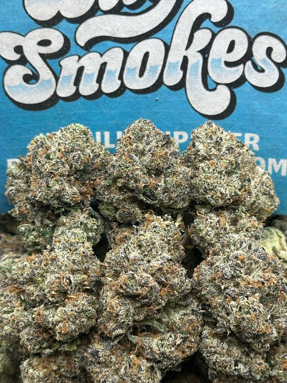 Jealousy X Gelato (Indica)