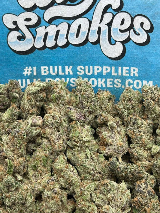 Biscotti SM (Indica)