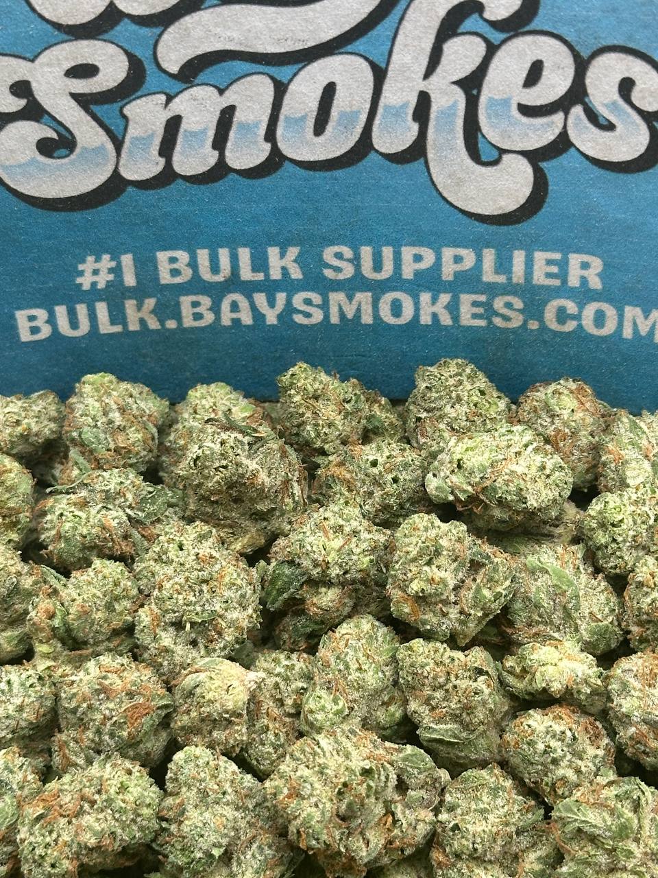 Blue Dream SM(Hybrid)