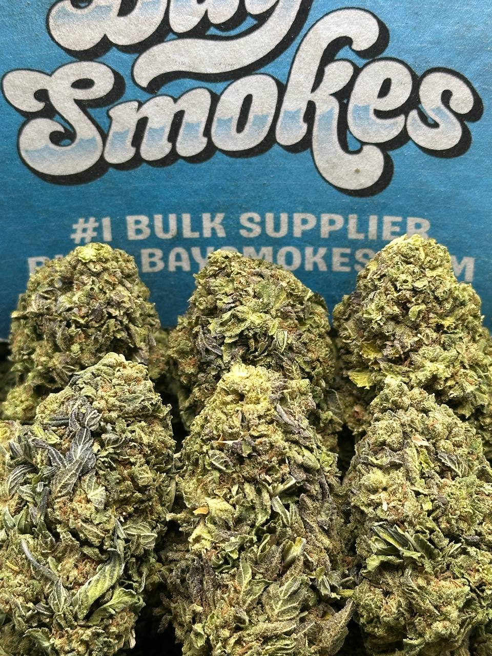 Cheetah Pizz (Indica)