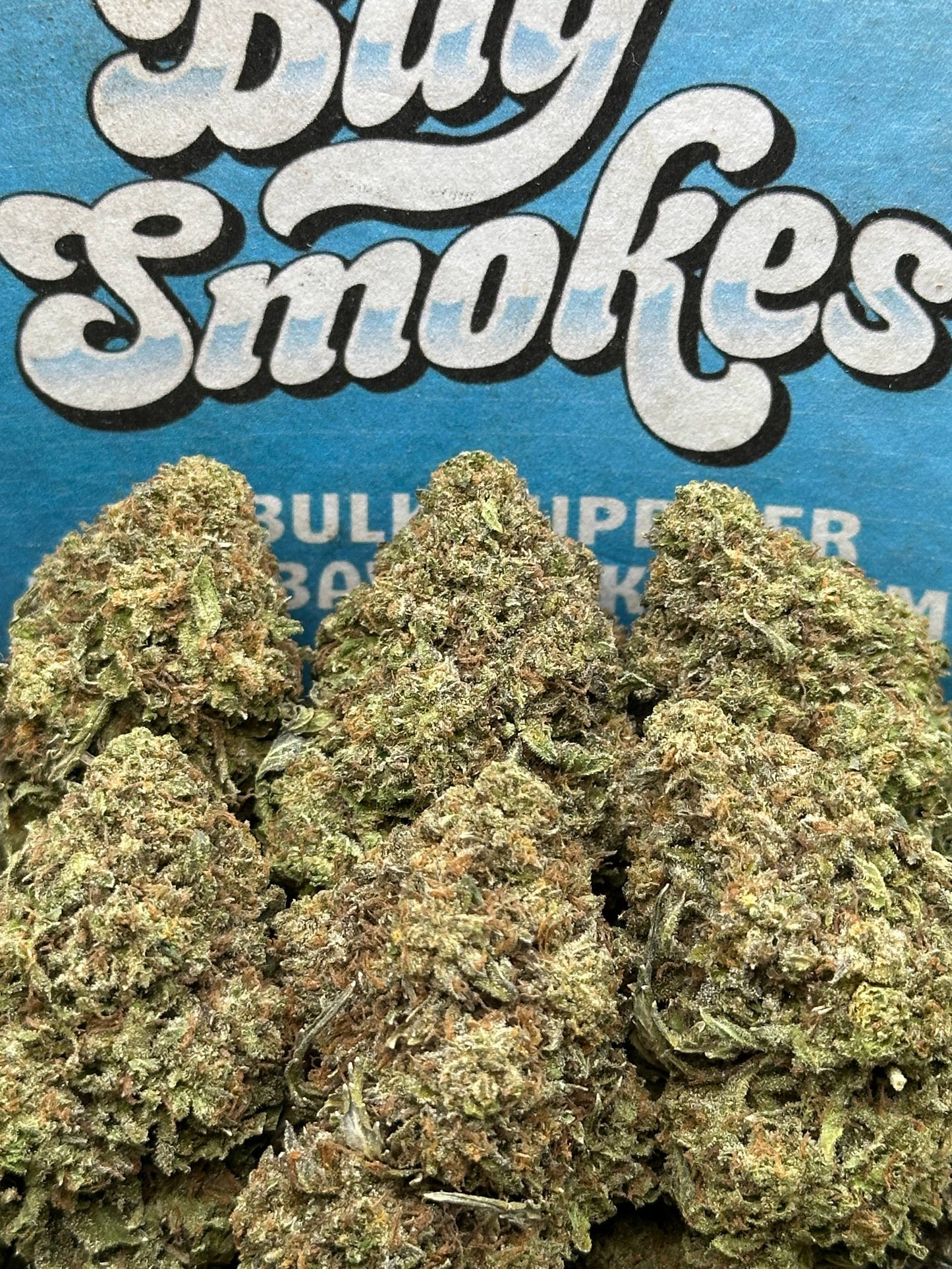 Orange Push Pop(Hybrid)