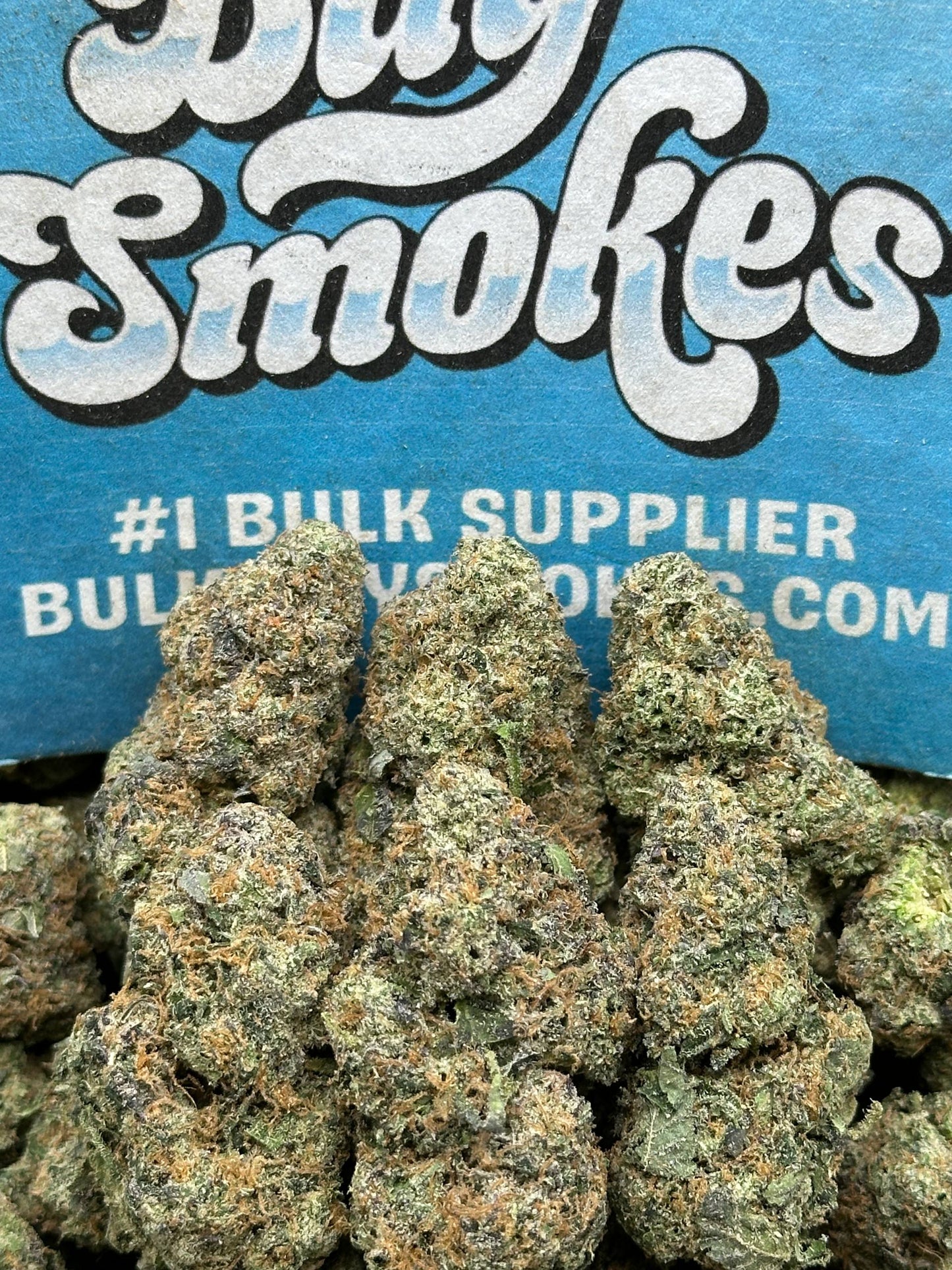 Black Mirror Snowiest (Hybrid)