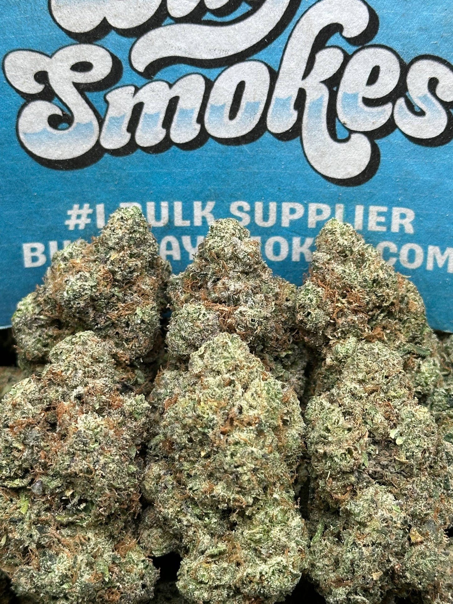 Cracker Pack (Hybrid)