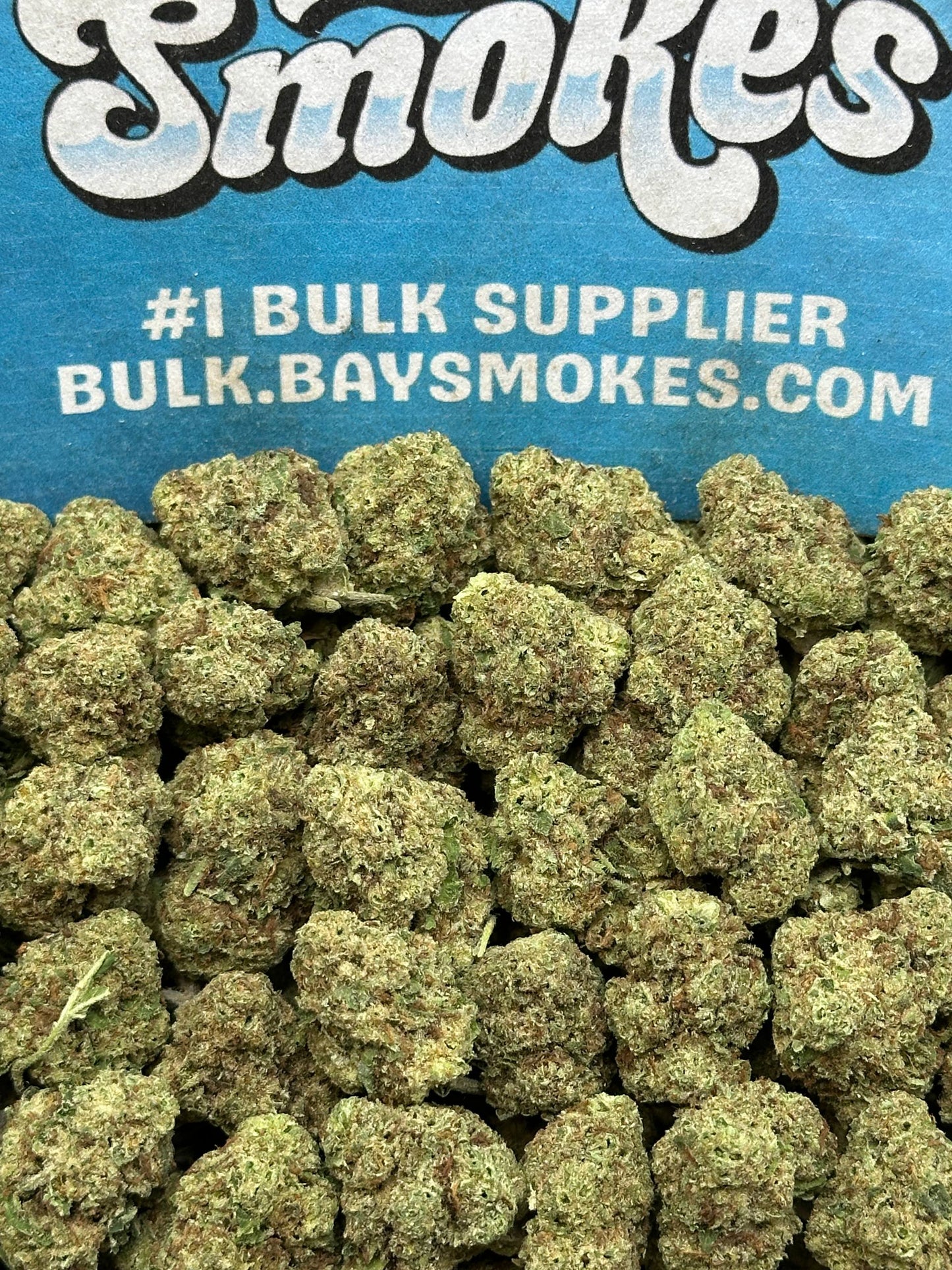 Horchata SM (Hybrid)