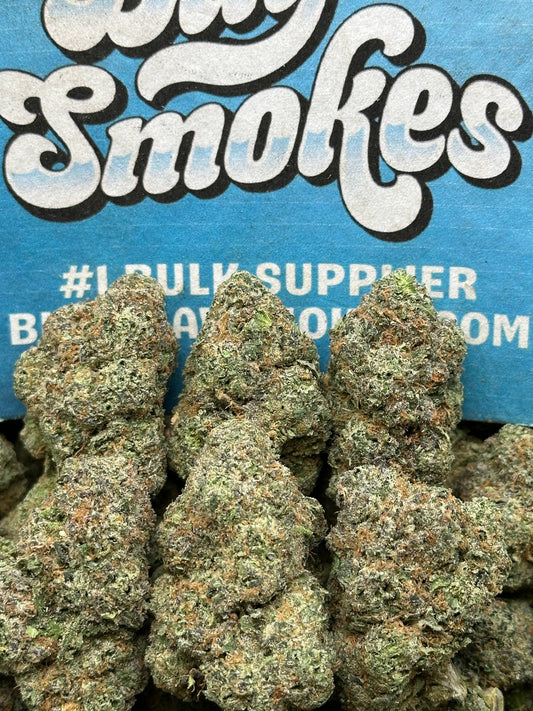 Space Junky (Hybrid)