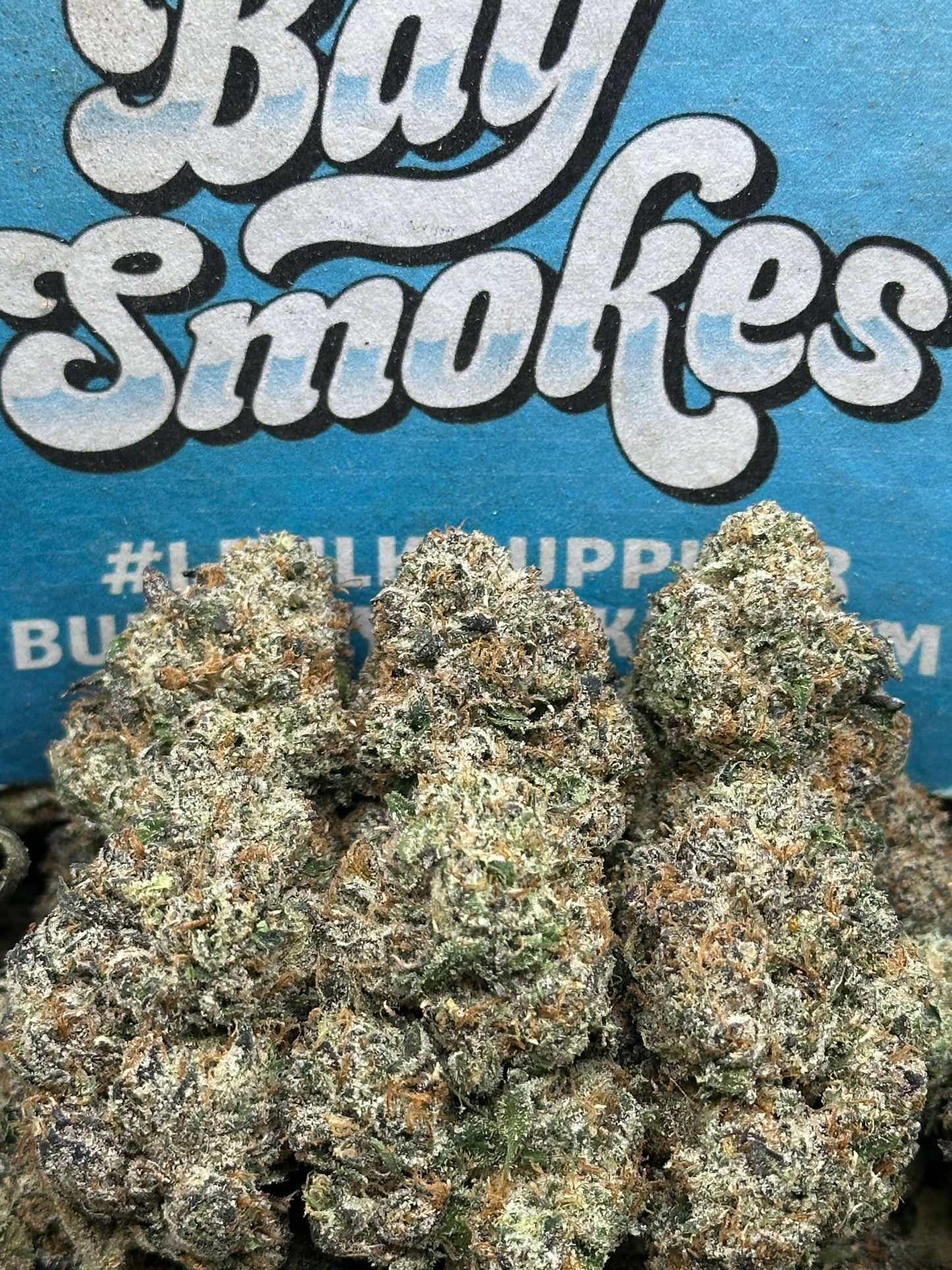 Apple Fritter (Indica)