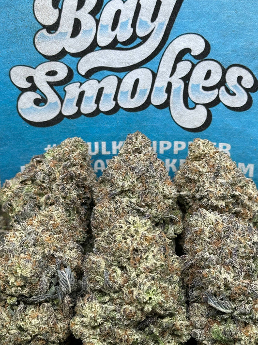 CTESPN Recovery (Hybrid)