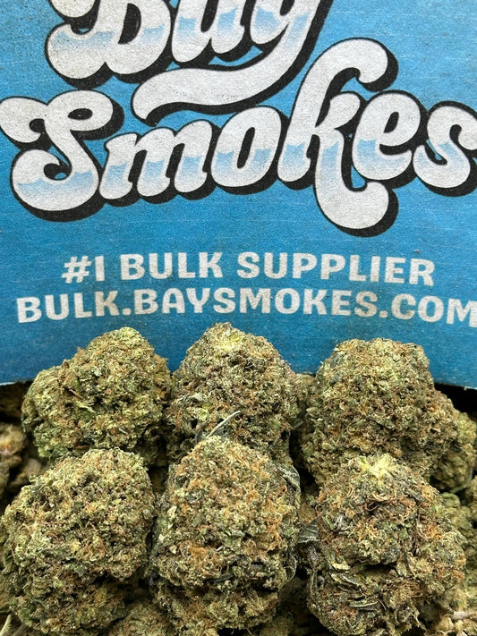 Gary Peyton (Hybrid)