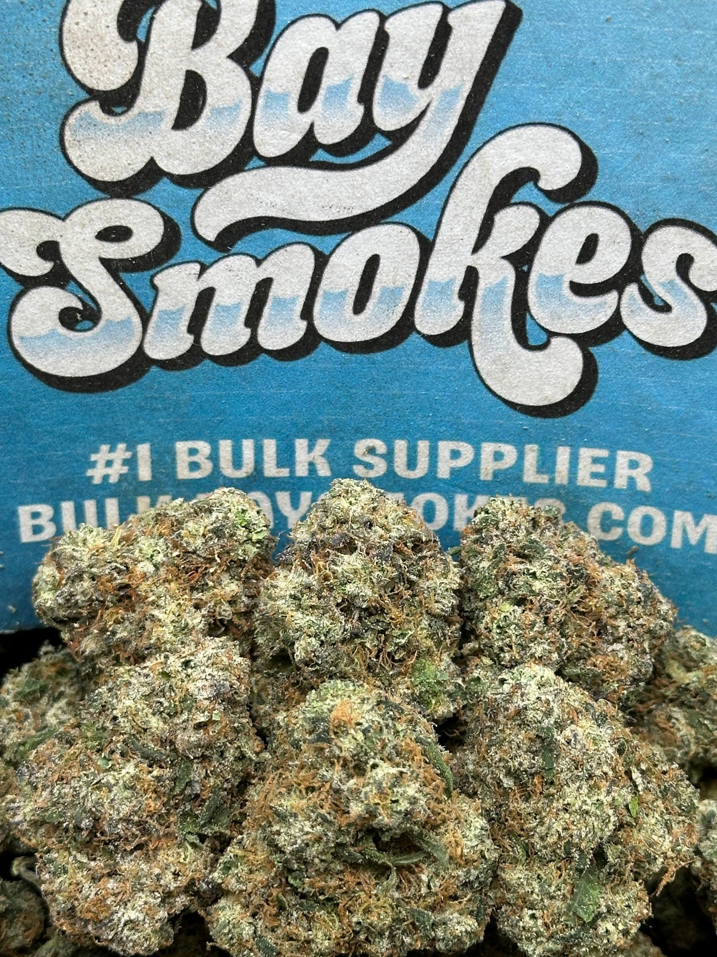 Gelato Cake (Hybrid)