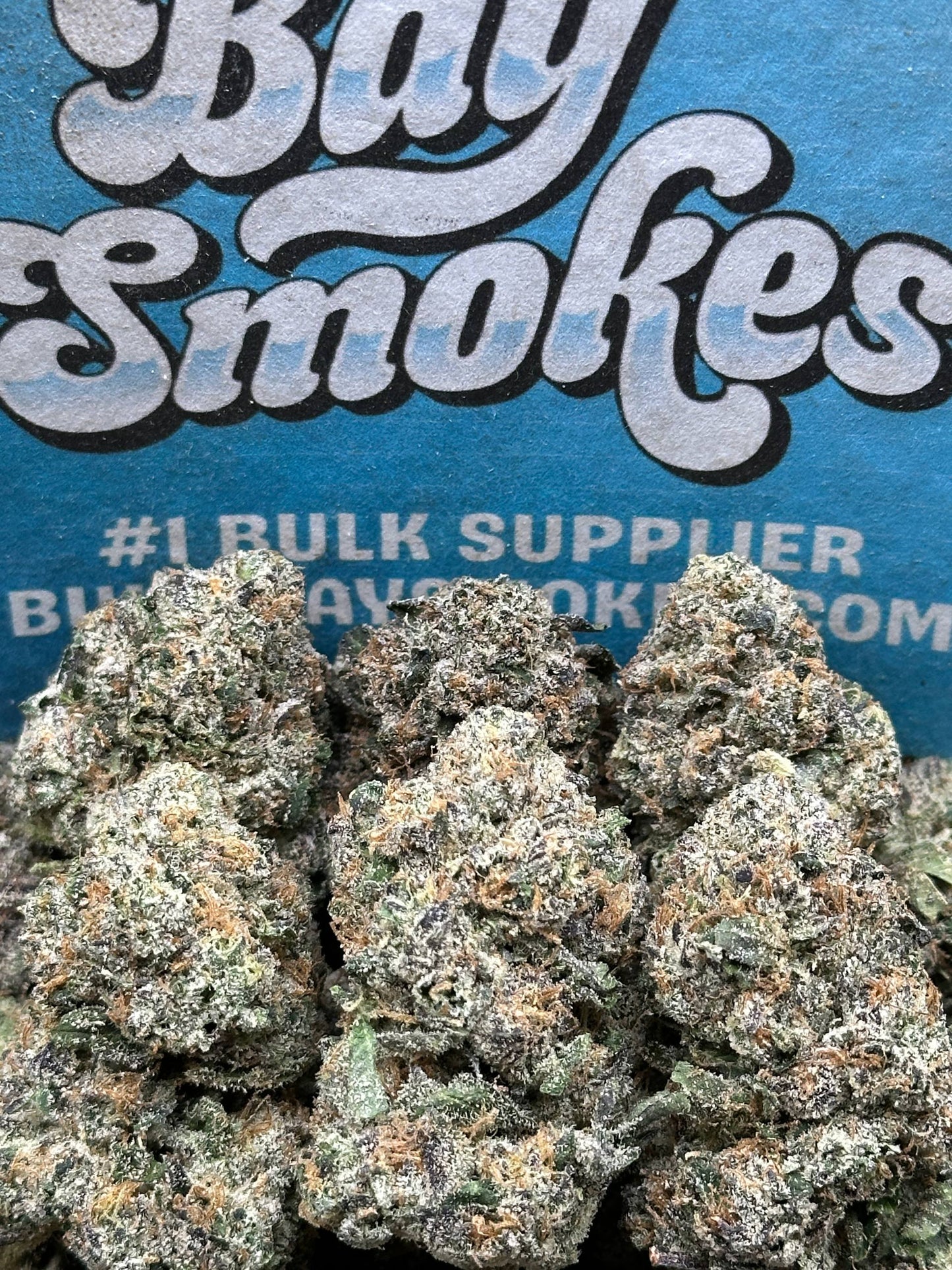 Gelato 45 Snowballs (Indica)