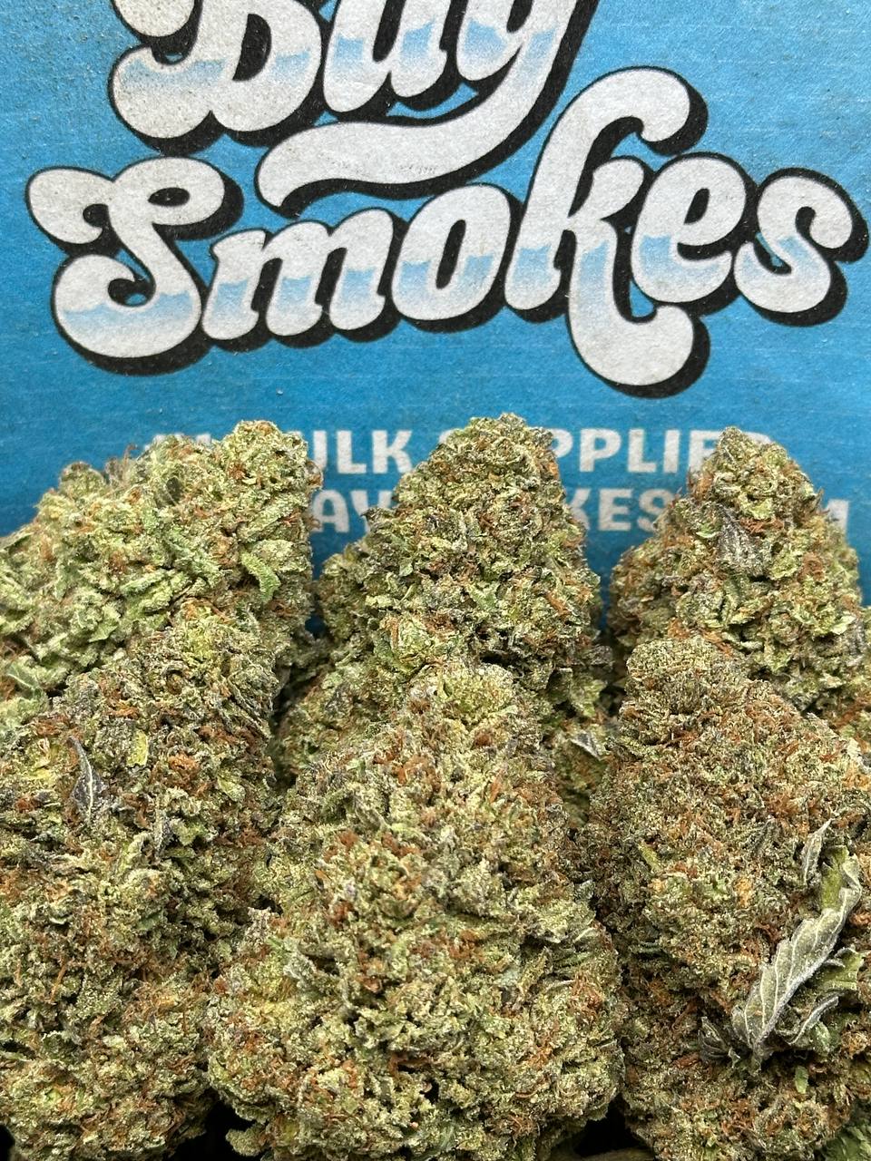 Wedding Crasher (Hybrid)