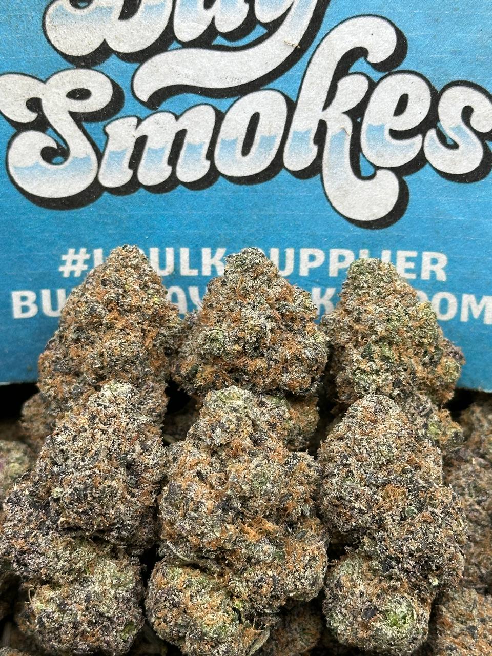 Gelato 33(Indica Hybrid)