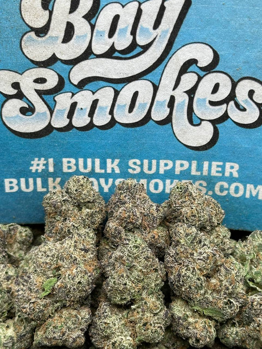 Jet Fuel Gelato (Indica)