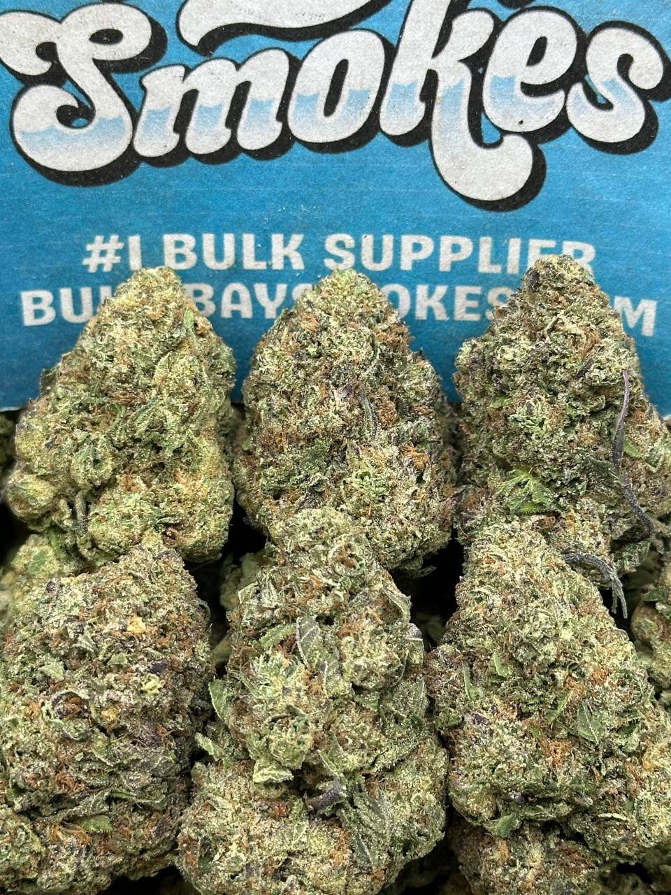 Pineapple Kush (Indica)