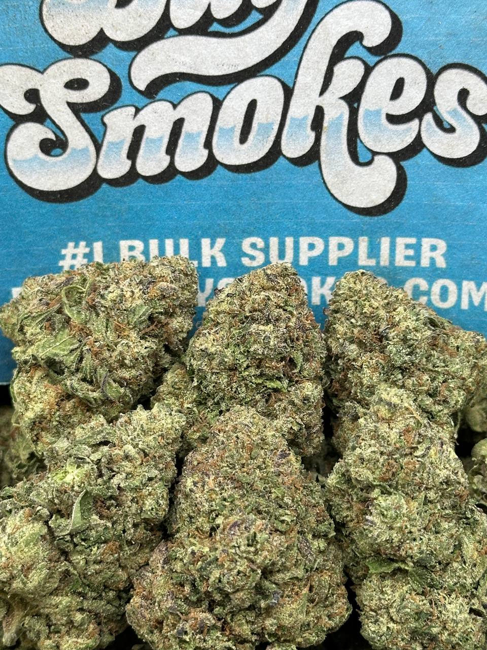 Mr Nasty (Indica Hybrid)