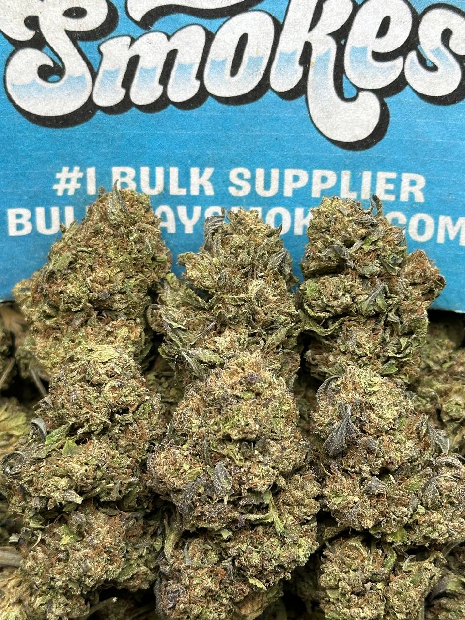 Nimbus Kush (Hybrid)