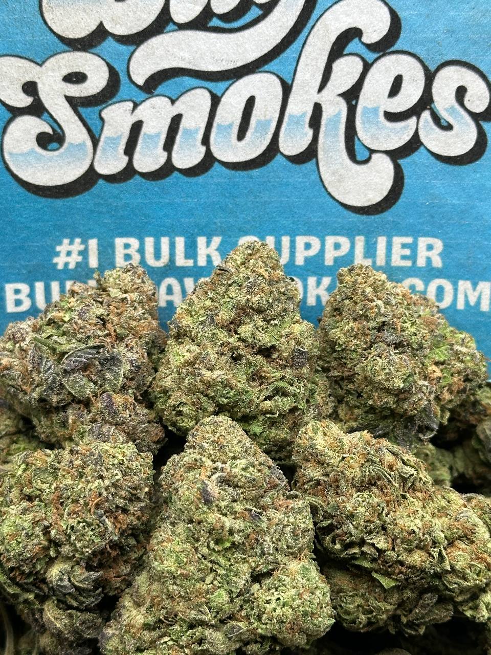 Super Alien OG (Sativa)