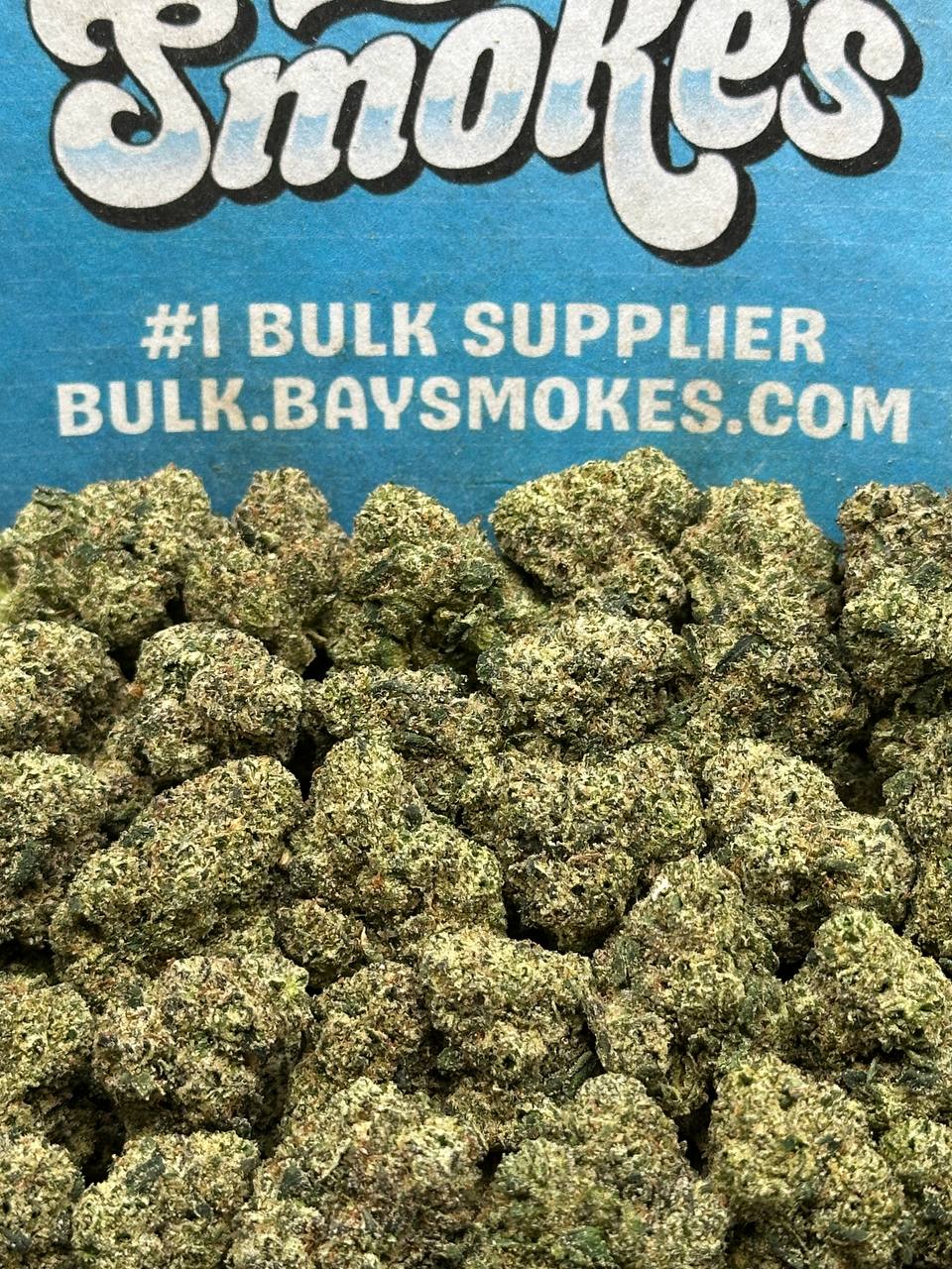 Banana Nose Candy SM (Hybrid)