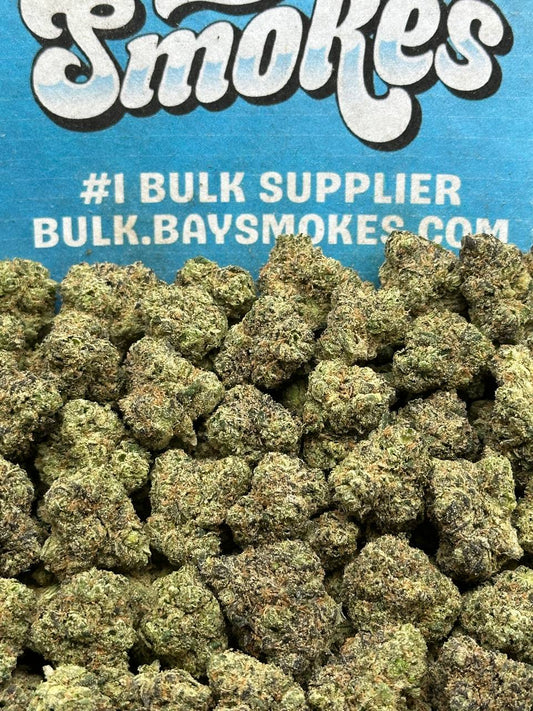 Black Cherry Gelato SM (Indica)