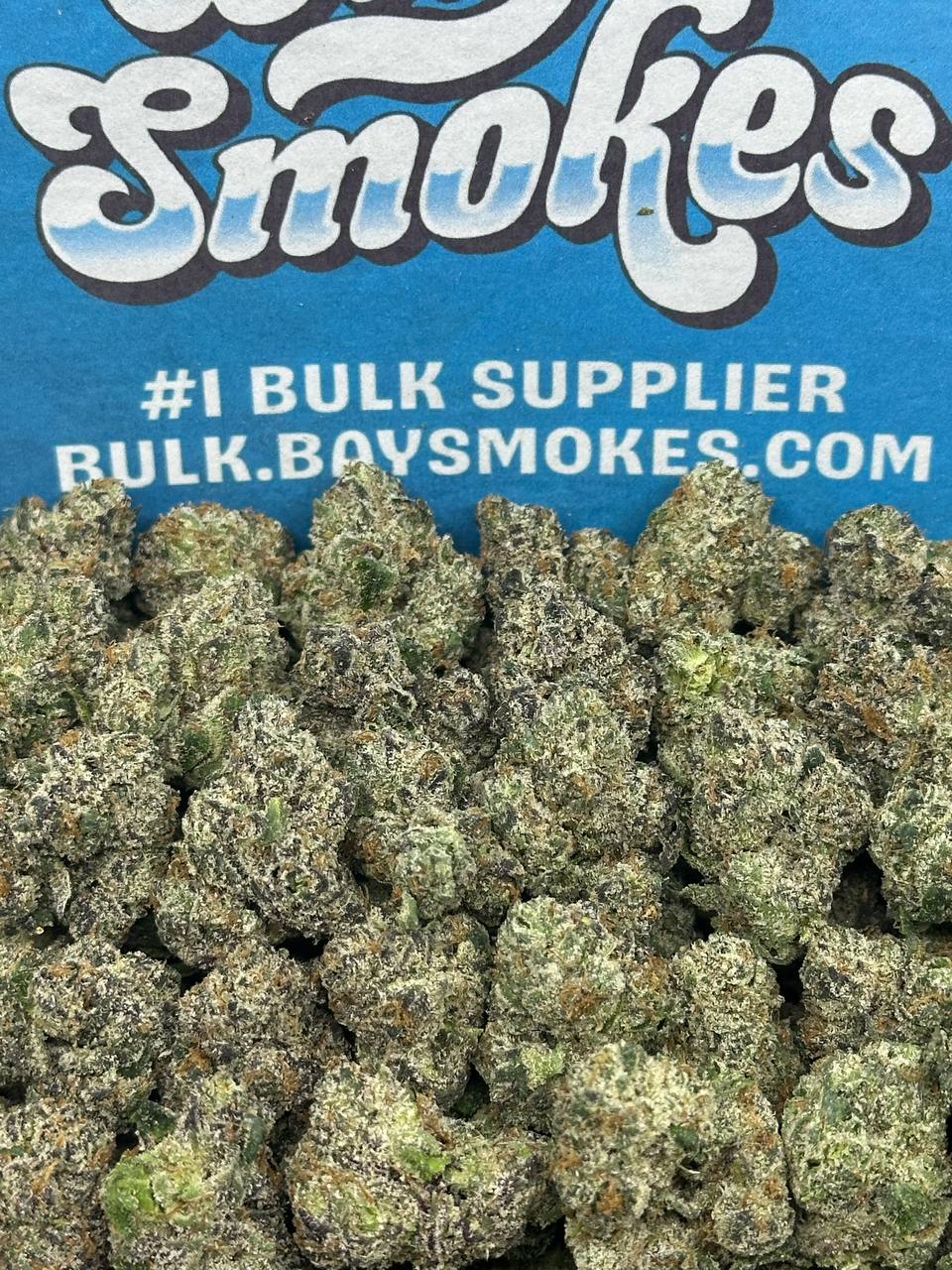 Cherry Zashimi SM (Indica)