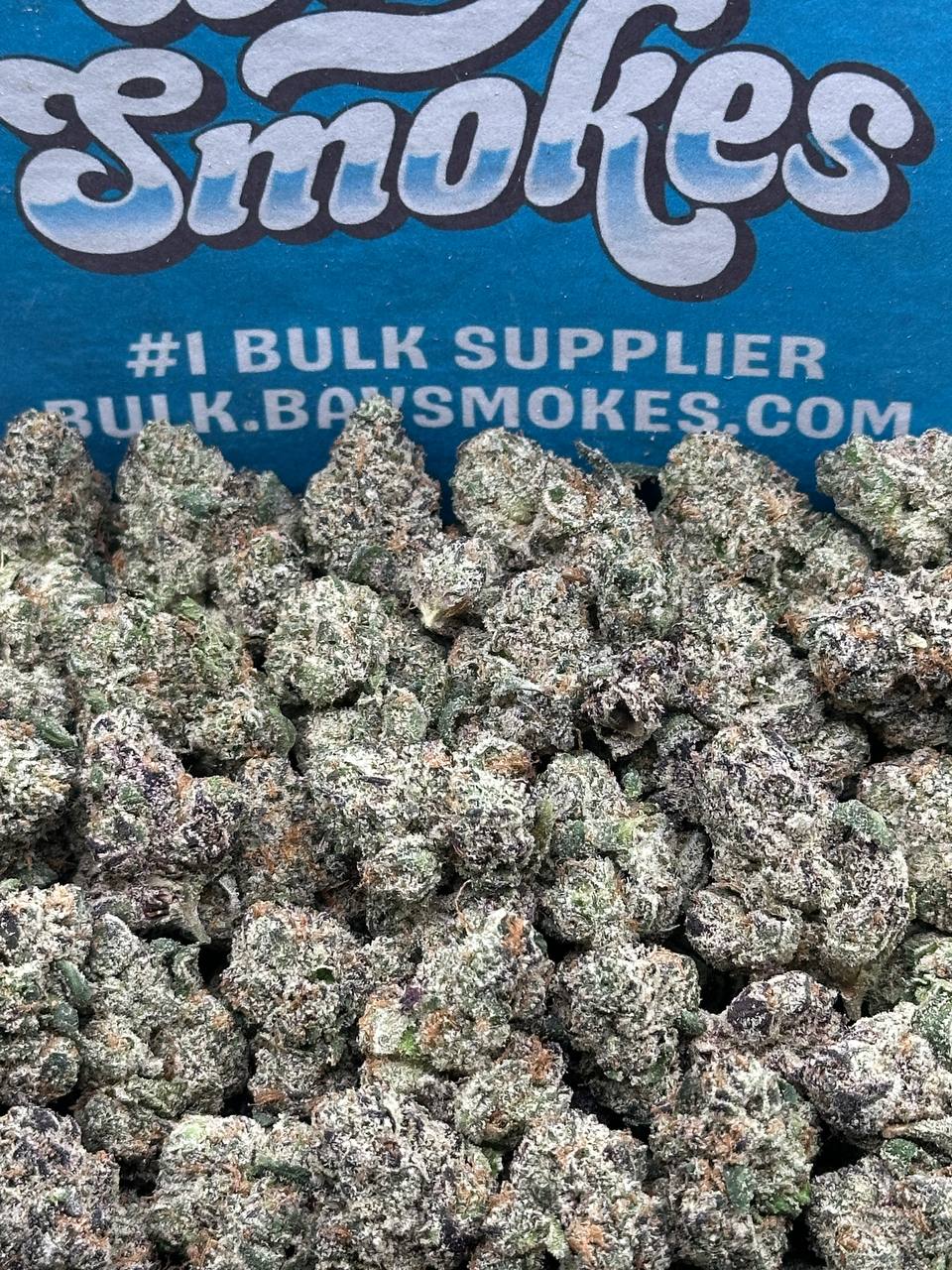 Mango Dream SM (Indica Hybrid)