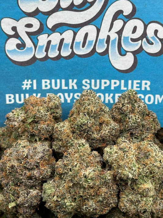 Cracker Award of the Year (Hybrid)