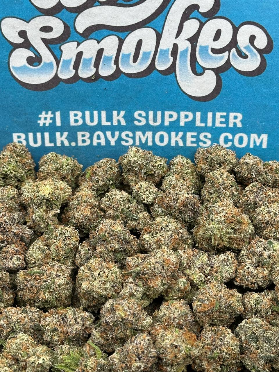 Crostada SM (Hybrid)