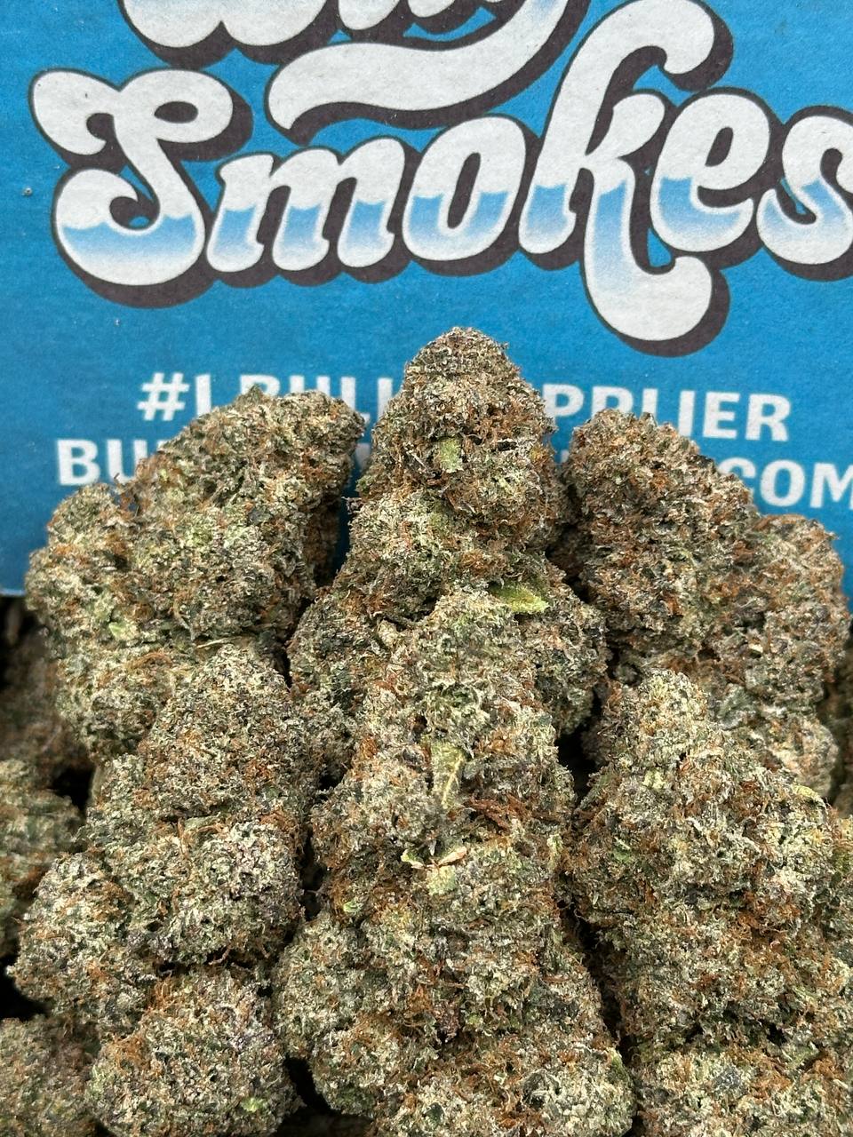 The Starhush Workshop