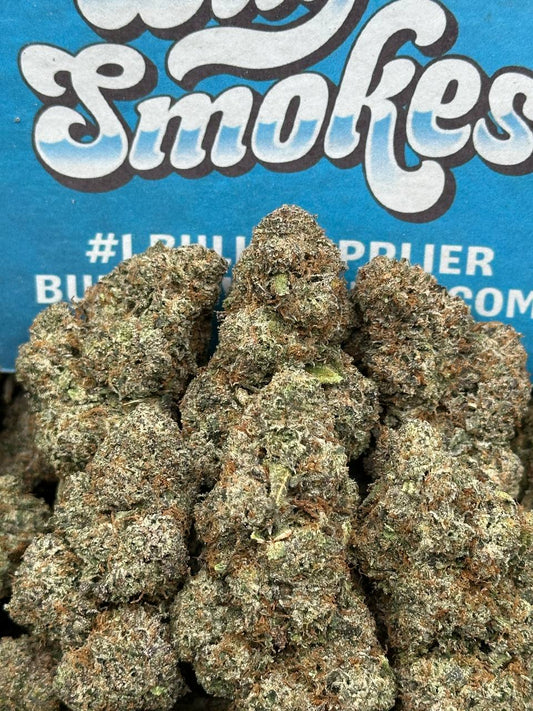 The Starhush Workshop