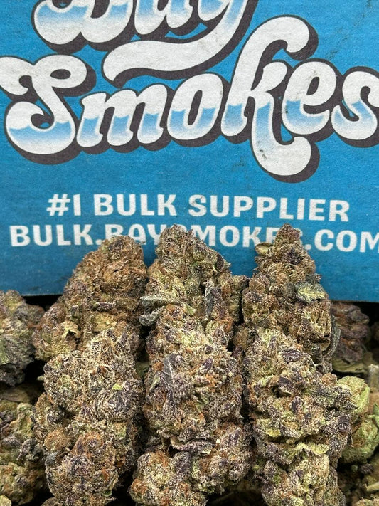 CTESPN Recovery (Hybrid)