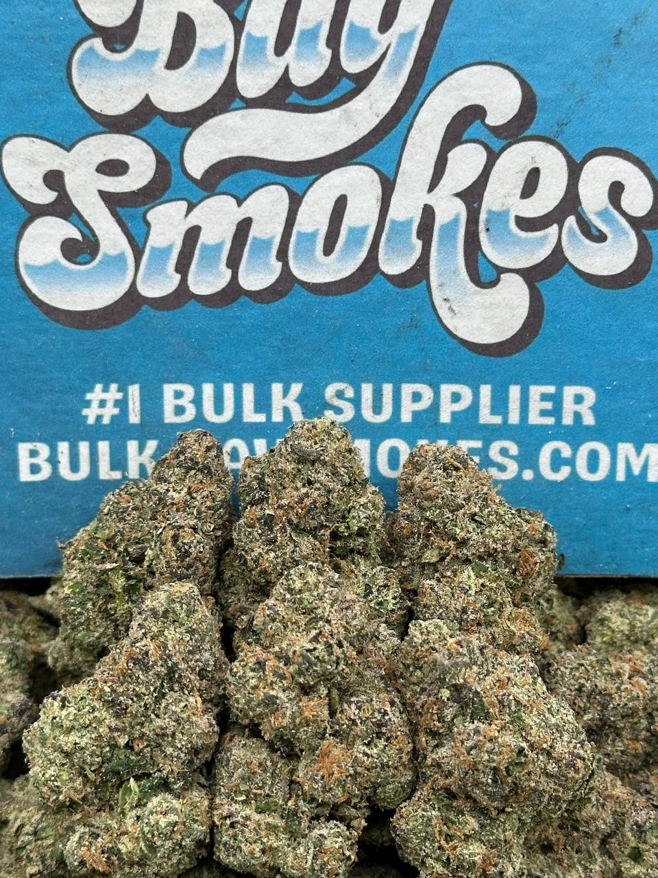 Gelato Cake (Hybrid)