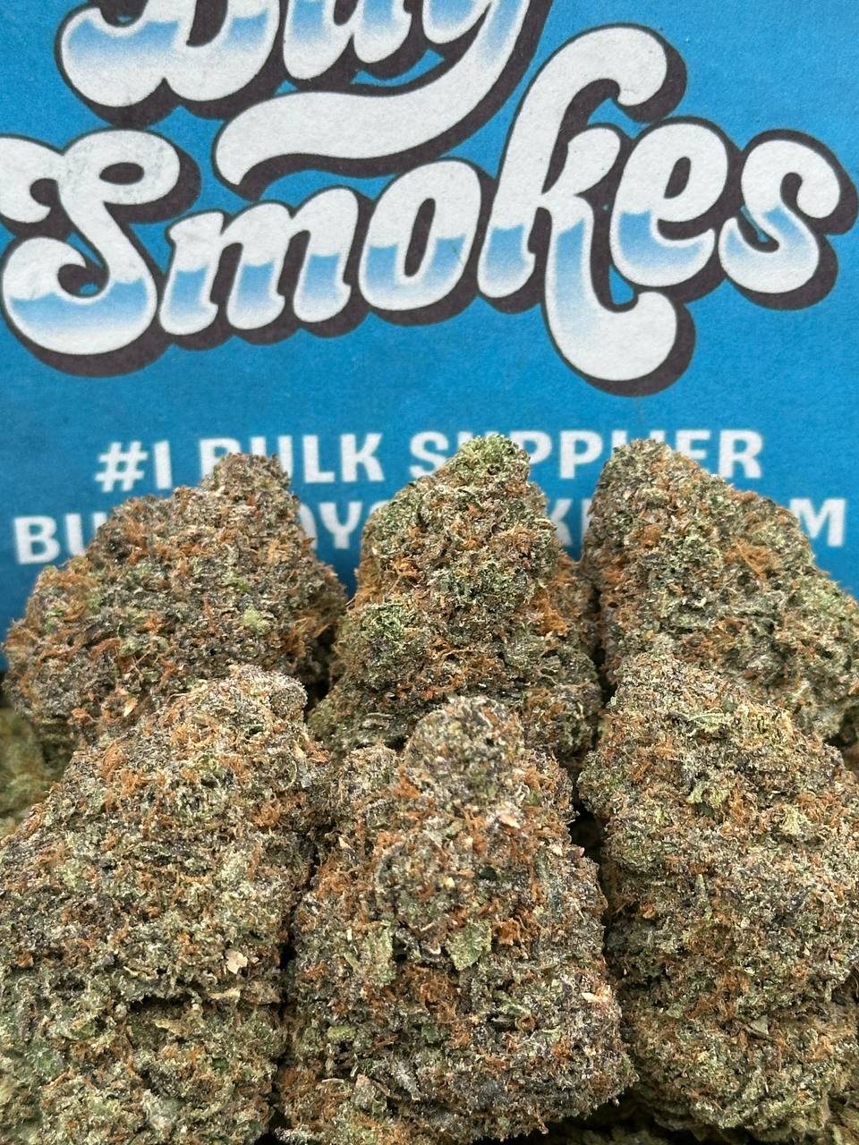 Super Alien OG (Hybrid)