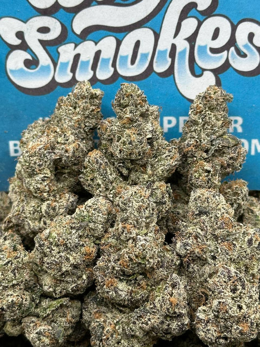 Rainbow Sherbet (Hybrid)