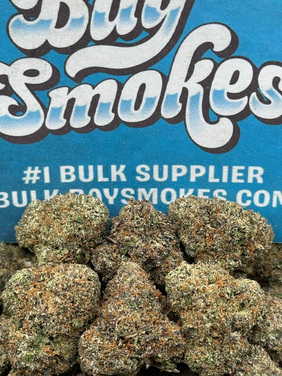 Trop Cherries (Hybrid)