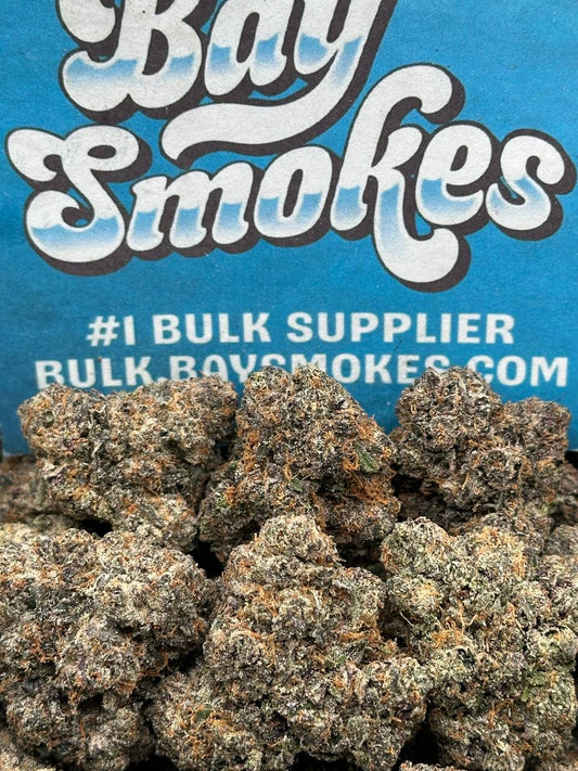 Gelato Paloma (Hybrid)