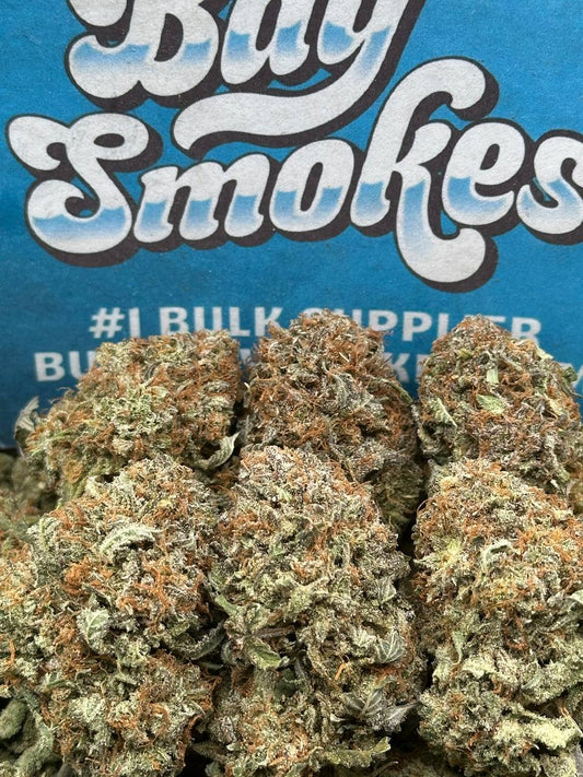 Pink Champagne (Hybrid)