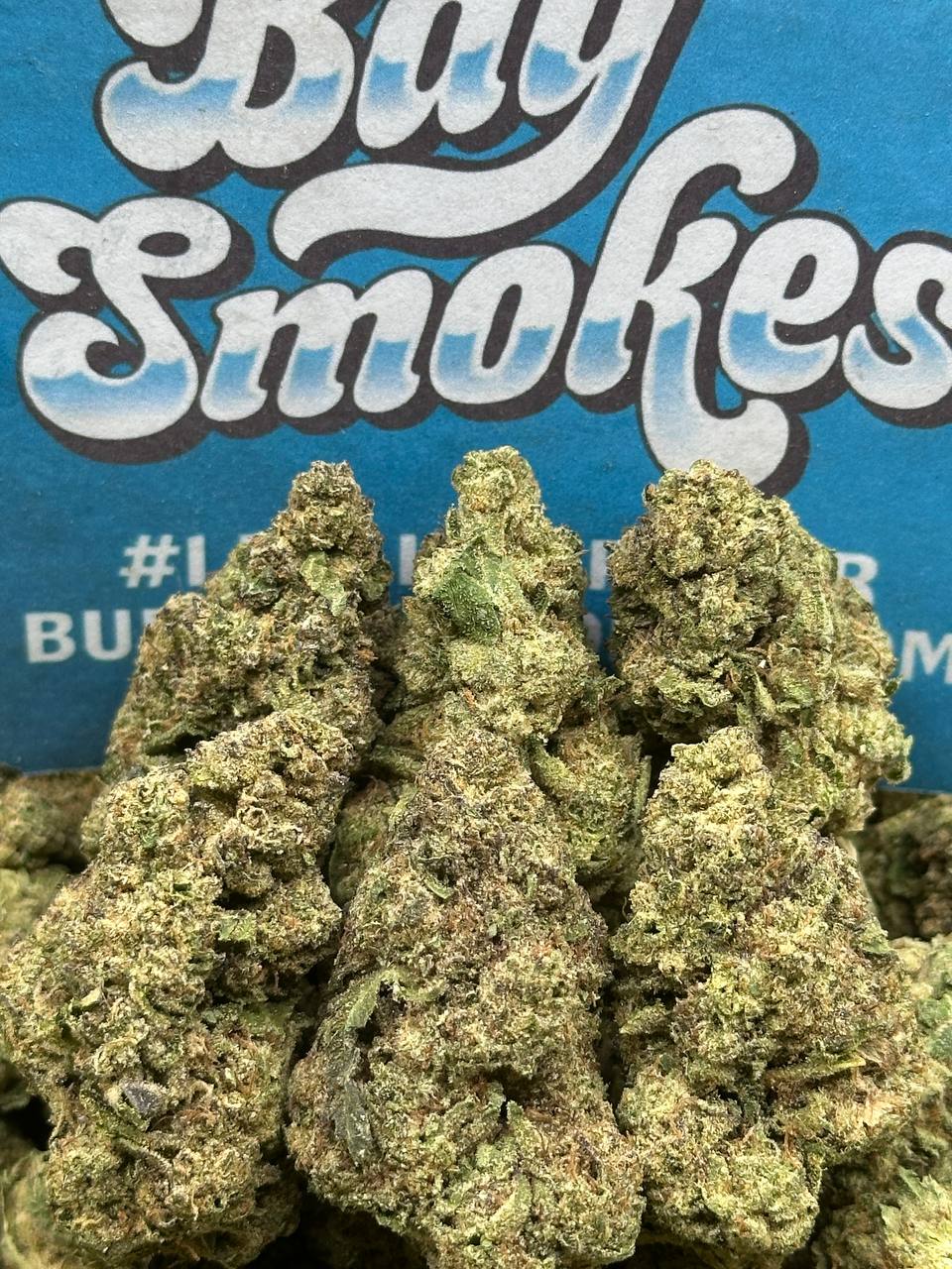 Quattro Kush (Hybrid)