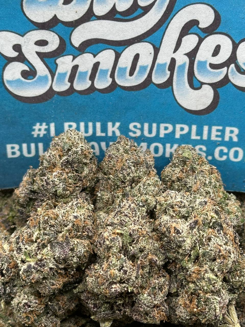 Zookies (Hybrid)