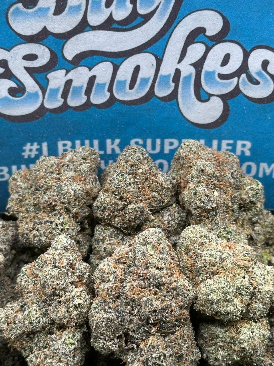 Strawpicana (Hybrid)