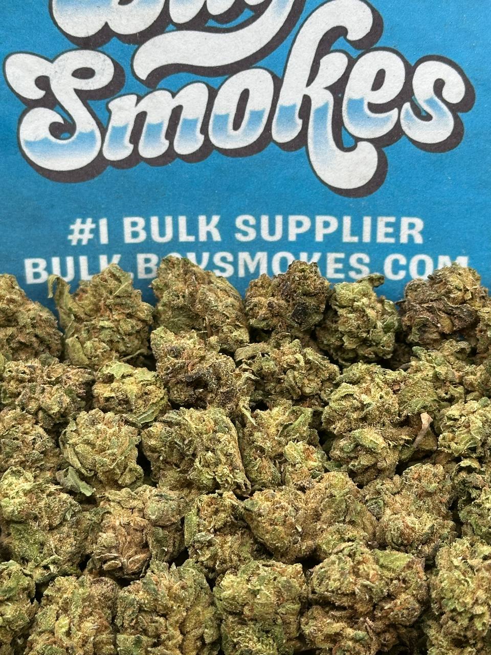 Black Mirror Snowiest SM (Hybrid)