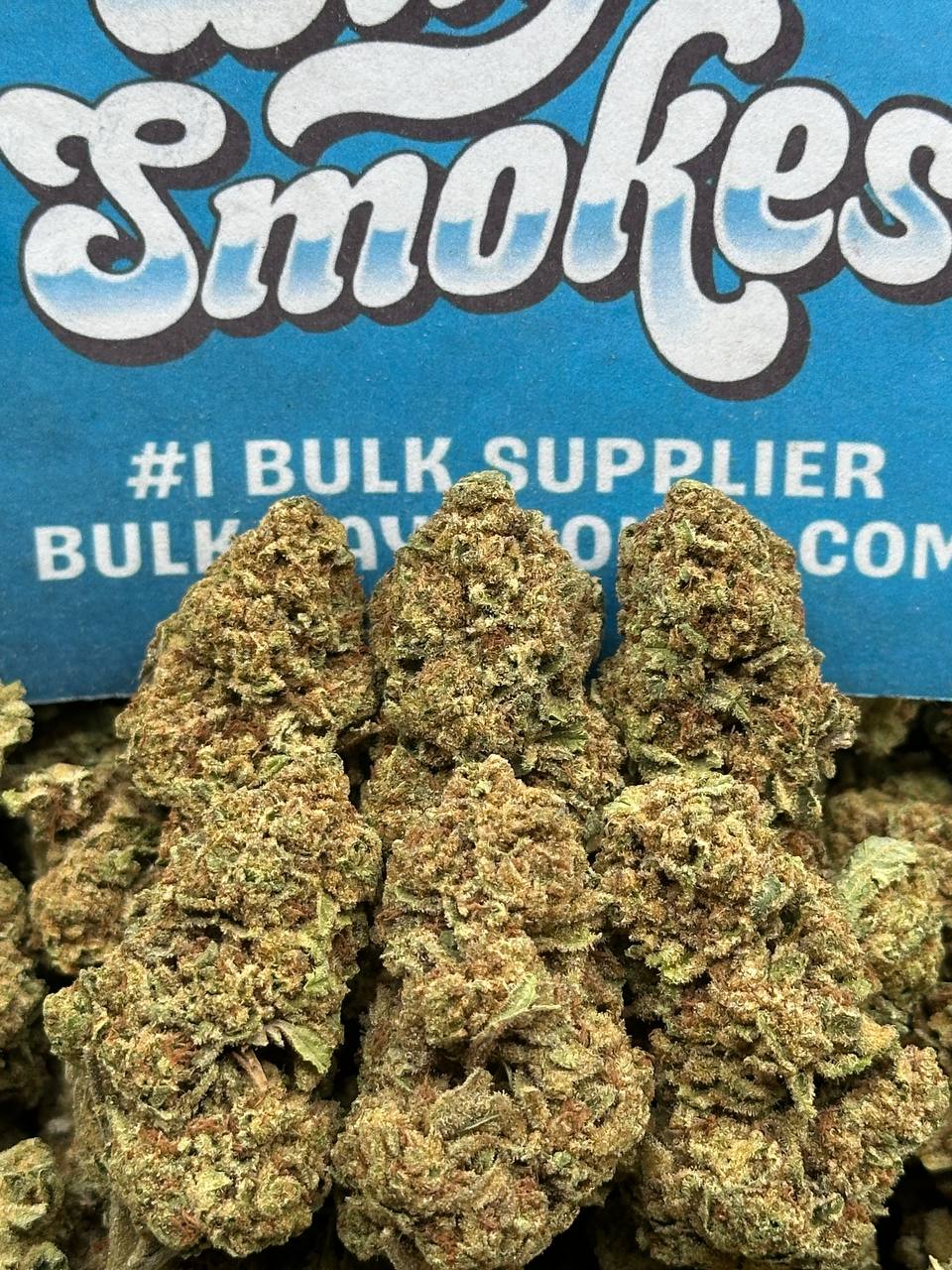 Candy Belts (Indica Hybrid)