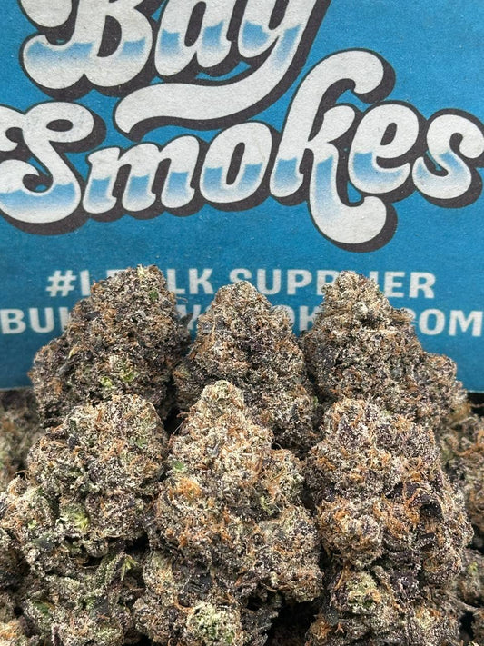 Cheetah Pizz (Hybrid)