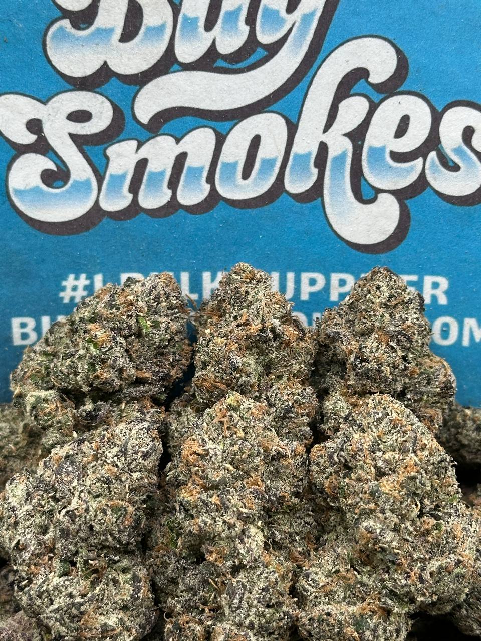 Jealousy X Gelato  (Indica Hybrid)