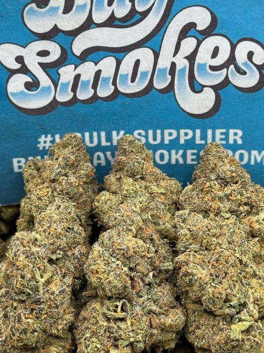 Malawi Gold (Hybrid)