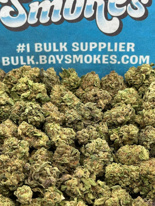 Gary Peyton SM (Hybrid)