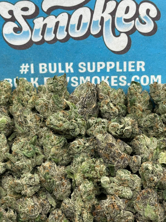 High Society (Hybrid)