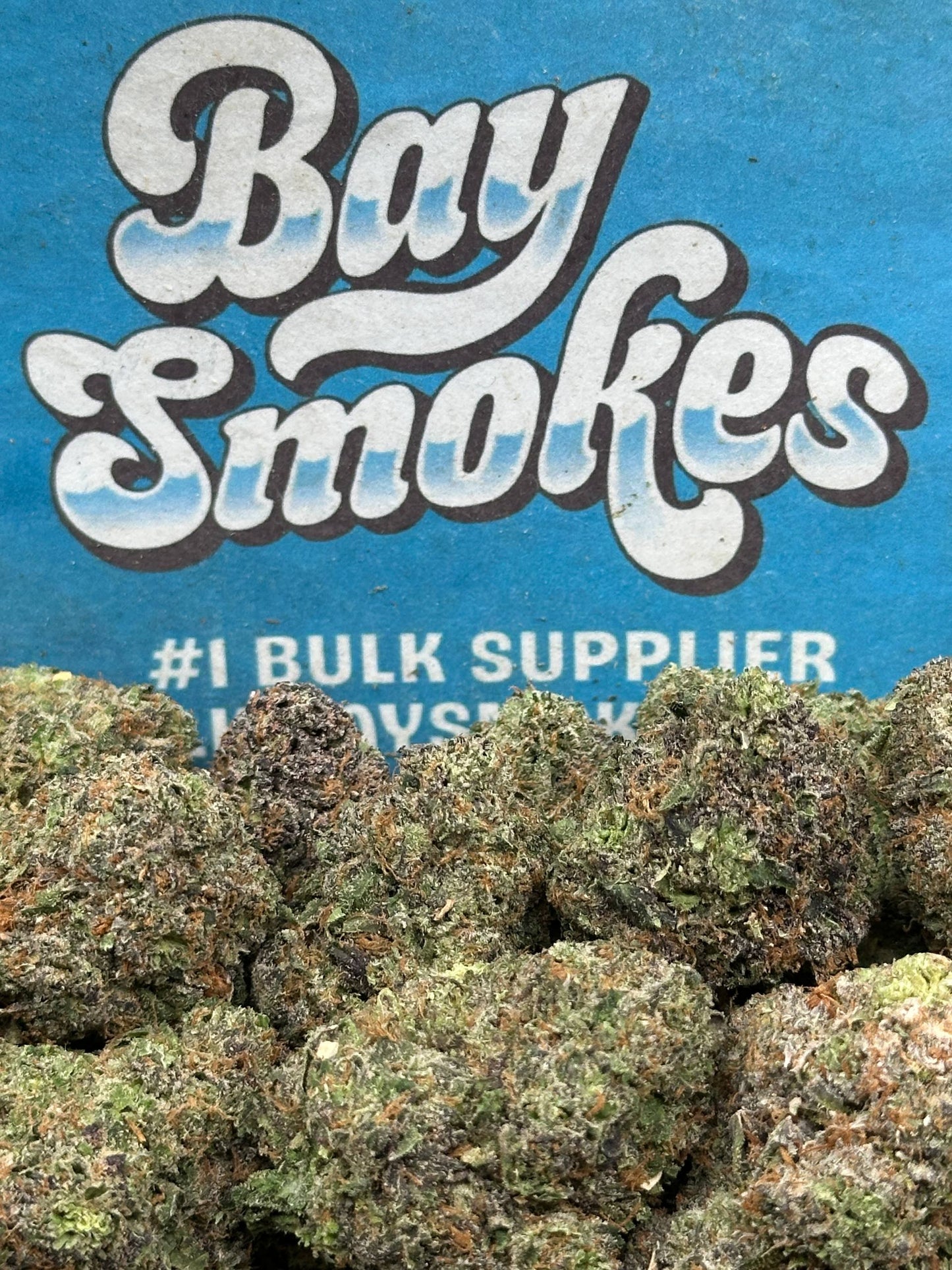 GMO (Indica)